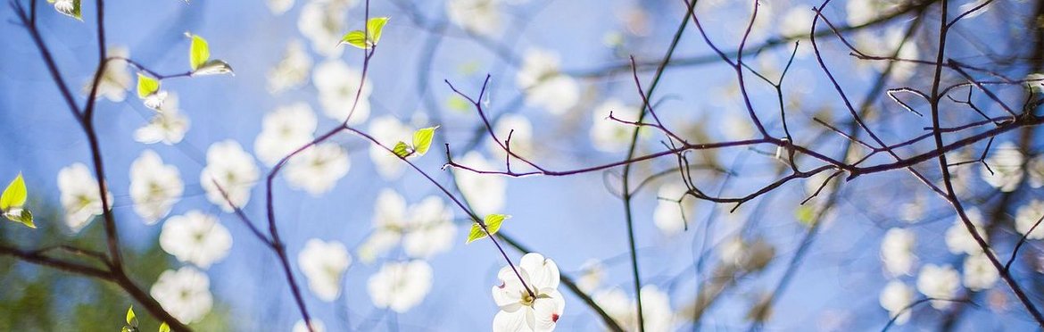 Bildrechte: Ev.-Luth. Kirche in Norddeutschland / Ashley Bean